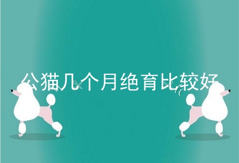 公猫几个月绝育比较好