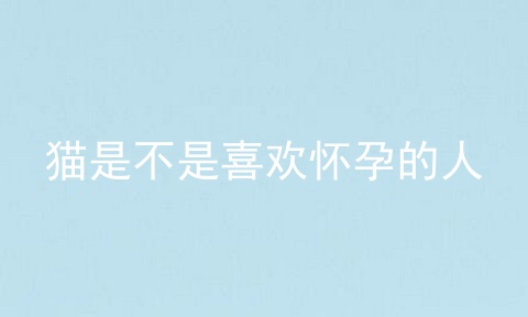 猫是不是喜欢怀孕的人