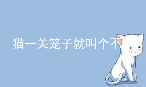 猫一关笼子就叫个不停