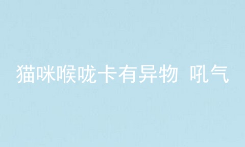 猫咪喉咙卡有异物 吼气