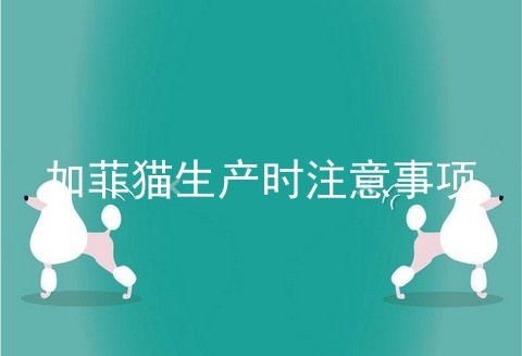 加菲猫生产时注意事项