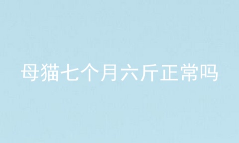 母猫七个月六斤正常吗