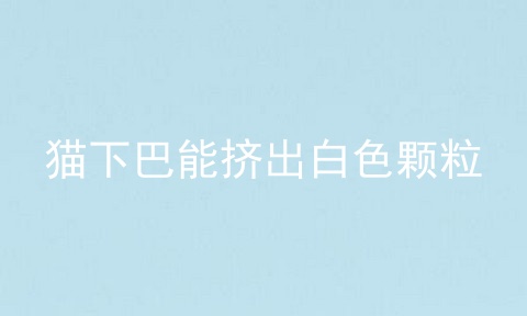 猫下巴能挤出白色颗粒