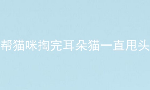帮猫咪掏完耳朵猫一直甩头