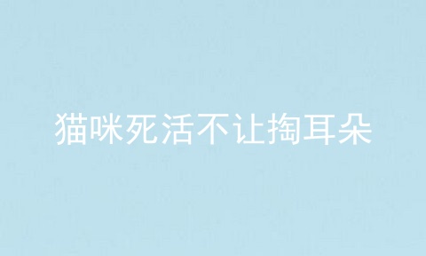 猫咪死活不让掏耳朵