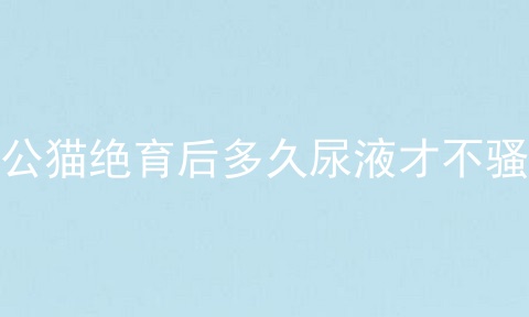 公猫绝育后多久尿液才不骚
