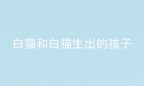 白猫和白猫生出的孩子