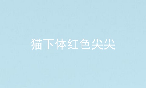 猫下体红色尖尖