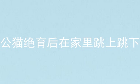 公猫绝育后在家里跳上跳下