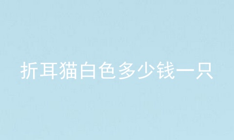 折耳猫白色多少钱一只