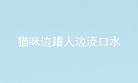 猫咪边蹭人边流口水