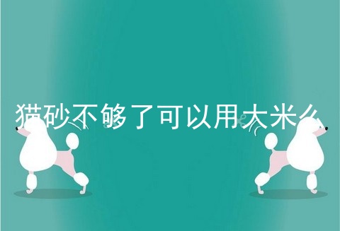 猫砂不够了可以用大米么