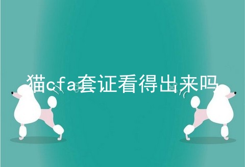 猫cfa套证看得出来吗