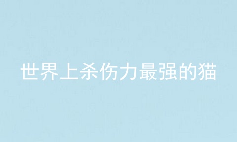 世界上杀伤力最强的猫