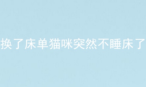 换了床单猫咪突然不睡床了