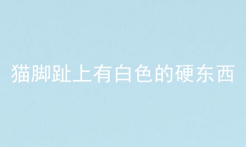 猫脚趾上有白色的硬东西