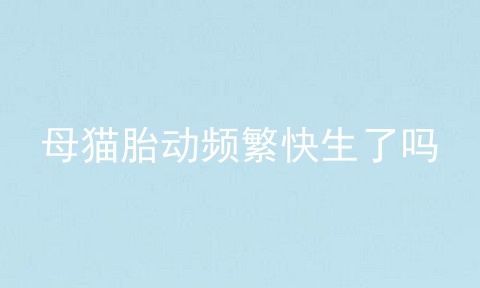 母猫胎动频繁快生了吗