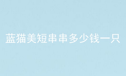 蓝猫美短串串多少钱一只
