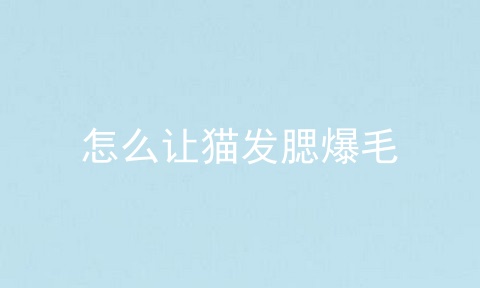 怎么让猫发腮爆毛