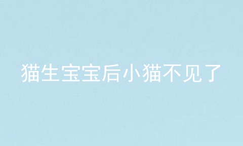 猫生宝宝后小猫不见了