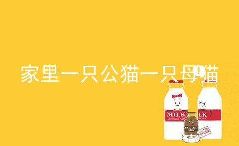 家里一只公猫一只母猫