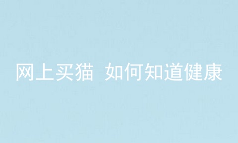 网上买猫 如何知道健康