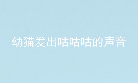 幼猫发出咕咕咕的声音