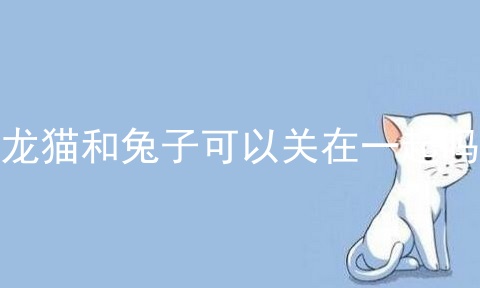 龙猫和兔子可以关在一起吗