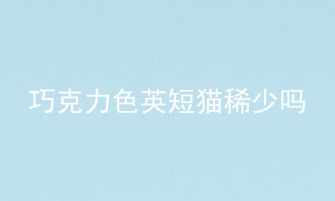 巧克力色<a href=/cat/13.html target=_blank class=infotextkey>英短</a>猫稀少吗