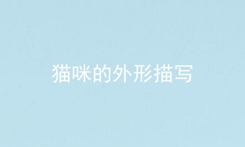猫咪的外形描写