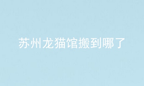 苏州龙猫馆搬到哪了