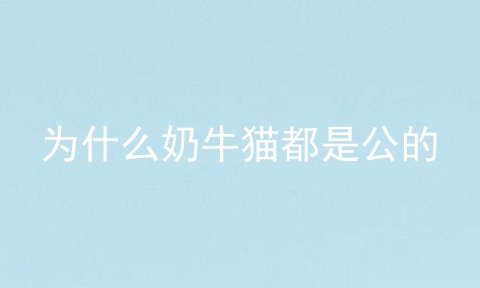 为什么奶牛猫都是公的