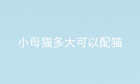 小母猫多大可以配猫