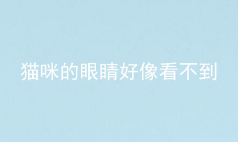 猫咪的眼睛好像看不到