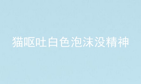 猫呕吐白色泡沫没精神