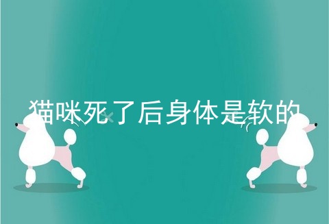 猫咪死了后身体是软的