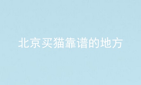 北京买猫靠谱的地方