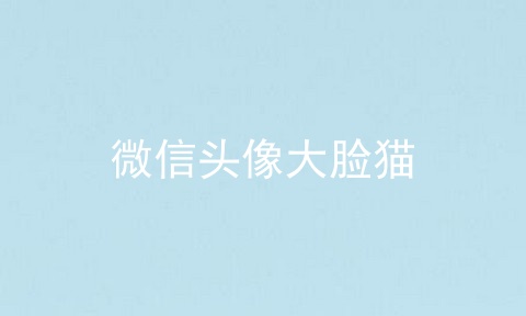 微信头像大脸猫