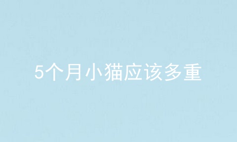 5个月小猫应该多重