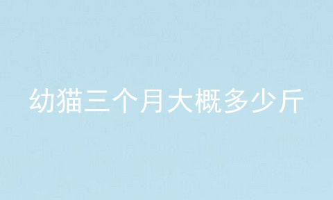 幼猫三个月大概多少斤