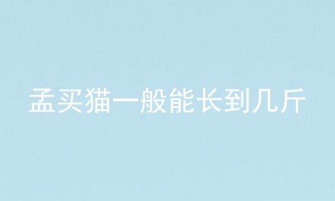 孟买猫一般能长到几斤