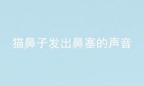 猫鼻子发出鼻塞的声音
