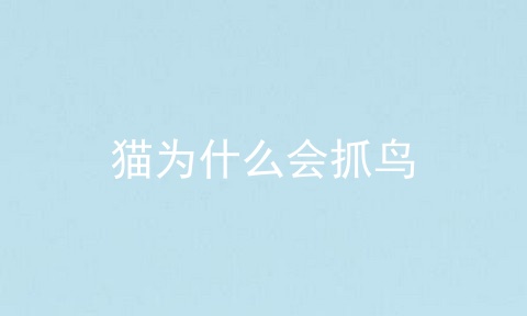 猫为什么会抓鸟