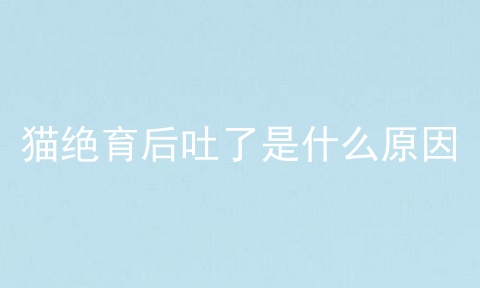 猫绝育后吐了是什么原因