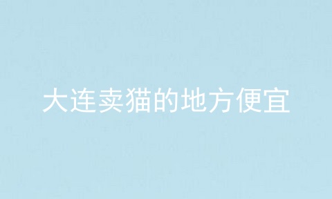 大连卖猫的地方便宜