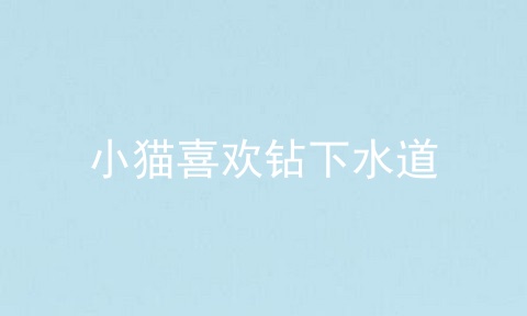 小猫喜欢钻下水道