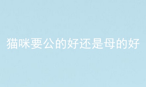 猫咪要公的好还是母的好