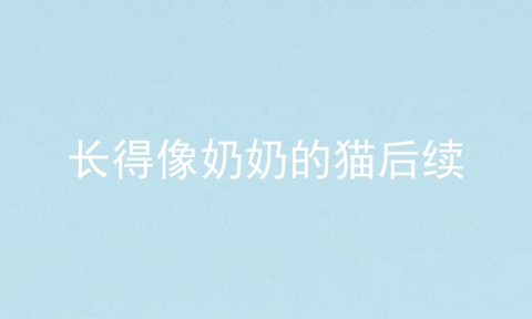 长得像奶奶的猫后续