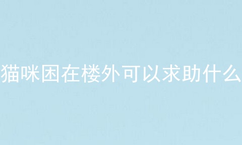 猫咪困在楼外可以求助什么
