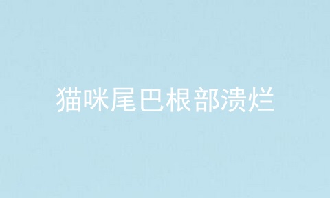 猫咪尾巴根部溃烂